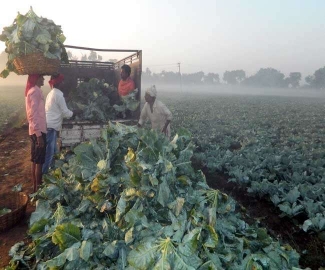 Photo courtesy Jagran.com