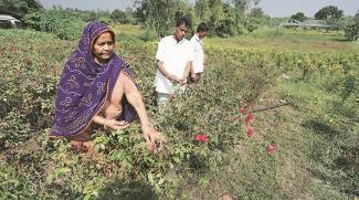 Gesuben Parmar along with her son and husband at her rose farm in Rozam village of Gujarat’s Dahod district.