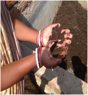 Savitri Devi with the earthworm manure