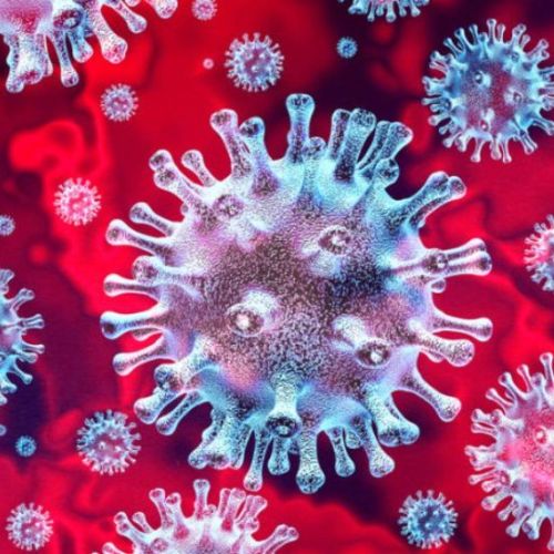 Corona Virus (Covid 19) pandemic