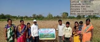 Smt. Jayshri Govind Jadhav, a woman farmer, ensuring the nutritional security of her family through the cultivation of biofortified wheat variety MACS 4028, in Morgaon, District Pune, Maharashtra.