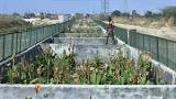 A view of a pilot Sewage Treatment Plant (STP) that is built with pebbles and plants, at Bawana, in New Delhi.