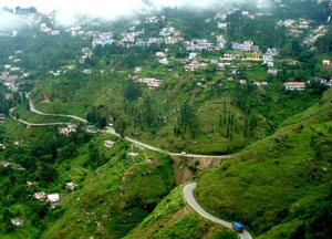 Photo courtesy UTDB